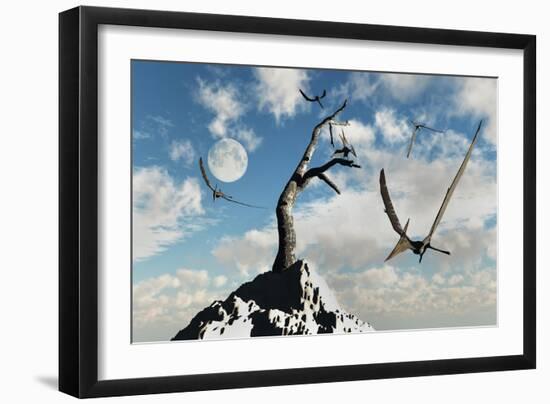 A Flock of Pteranodons Flying on a Sunny Cretaceous Day-null-Framed Art Print