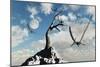 A Flock of Pteranodons Flying on a Sunny Cretaceous Day-null-Mounted Art Print