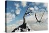 A Flock of Pteranodons Flying on a Sunny Cretaceous Day-null-Stretched Canvas
