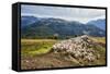 A Flock of Sheep in the Pastures of Mount Padrio, Orobie Alps, Valtellina, Lombardy, Italy, Europe-Roberto Moiola-Framed Stretched Canvas