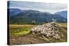 A Flock of Sheep in the Pastures of Mount Padrio, Orobie Alps, Valtellina, Lombardy, Italy, Europe-Roberto Moiola-Stretched Canvas