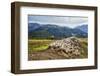 A Flock of Sheep in the Pastures of Mount Padrio, Orobie Alps, Valtellina, Lombardy, Italy, Europe-Roberto Moiola-Framed Photographic Print