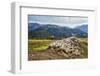 A Flock of Sheep in the Pastures of Mount Padrio, Orobie Alps, Valtellina, Lombardy, Italy, Europe-Roberto Moiola-Framed Photographic Print