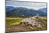 A Flock of Sheep in the Pastures of Mount Padrio, Orobie Alps, Valtellina, Lombardy, Italy, Europe-Roberto Moiola-Mounted Photographic Print