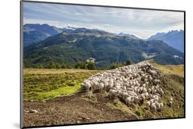 A Flock of Sheep in the Pastures of Mount Padrio, Orobie Alps, Valtellina, Lombardy, Italy, Europe-Roberto Moiola-Mounted Photographic Print