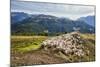 A Flock of Sheep in the Pastures of Mount Padrio, Orobie Alps, Valtellina, Lombardy, Italy, Europe-Roberto Moiola-Mounted Photographic Print