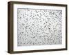 A Flock of Starlings (Sturnus Vulgaris) Dots the Sky Over Downtown Milan-null-Framed Photographic Print