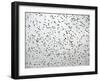 A Flock of Starlings (Sturnus Vulgaris) Dots the Sky Over Downtown Milan-null-Framed Photographic Print