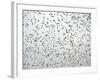 A Flock of Starlings (Sturnus Vulgaris) Dots the Sky Over Downtown Milan-null-Framed Photographic Print