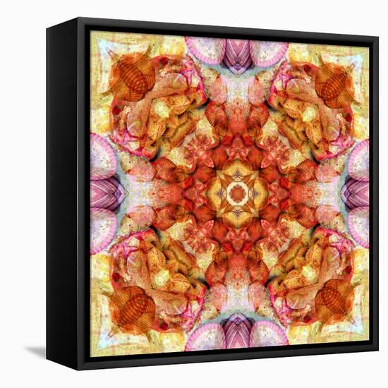 A Floral Mandala with Seahells-Alaya Gadeh-Framed Stretched Canvas