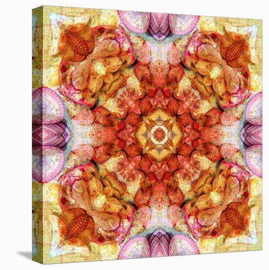 A Floral Mandala with Seahells-Alaya Gadeh-Stretched Canvas