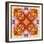 A Floral Mandala with Seahells-Alaya Gadeh-Framed Photographic Print