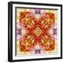 A Floral Mandala with Seahells-Alaya Gadeh-Framed Photographic Print