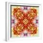 A Floral Mandala with Seahells-Alaya Gadeh-Framed Photographic Print