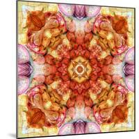 A Floral Mandala with Seahells-Alaya Gadeh-Mounted Photographic Print