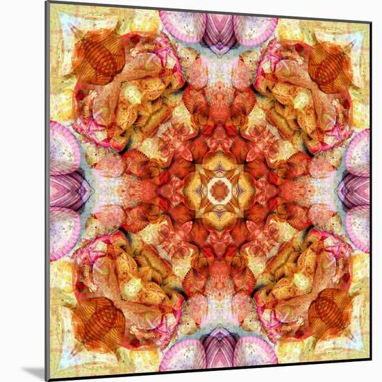 A Floral Mandala with Seahells-Alaya Gadeh-Mounted Photographic Print