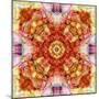 A Floral Mandala with Seahells-Alaya Gadeh-Mounted Photographic Print