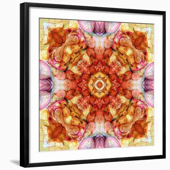 A Floral Mandala with Seahells-Alaya Gadeh-Framed Photographic Print