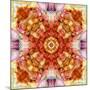 A Floral Mandala with Seahells-Alaya Gadeh-Mounted Photographic Print