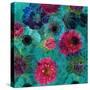 A Floral Montage from Blossoms and Drawing-Alaya Gadeh-Stretched Canvas