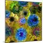A Floral Montage from Blossoms and Drawing-Alaya Gadeh-Mounted Photographic Print
