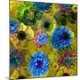 A Floral Montage from Blossoms and Drawing-Alaya Gadeh-Mounted Photographic Print