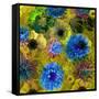 A Floral Montage from Blossoms and Drawing-Alaya Gadeh-Framed Stretched Canvas