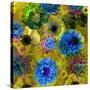 A Floral Montage from Blossoms and Drawing-Alaya Gadeh-Stretched Canvas