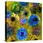 A Floral Montage from Blossoms and Drawing-Alaya Gadeh-Stretched Canvas