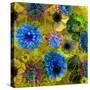 A Floral Montage from Blossoms and Drawing-Alaya Gadeh-Stretched Canvas