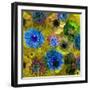 A Floral Montage from Blossoms and Drawing-Alaya Gadeh-Framed Photographic Print