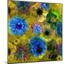 A Floral Montage from Blossoms and Drawing-Alaya Gadeh-Mounted Photographic Print