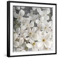 A Floral Montage from Clematis and Texture-Alaya Gadeh-Framed Photographic Print