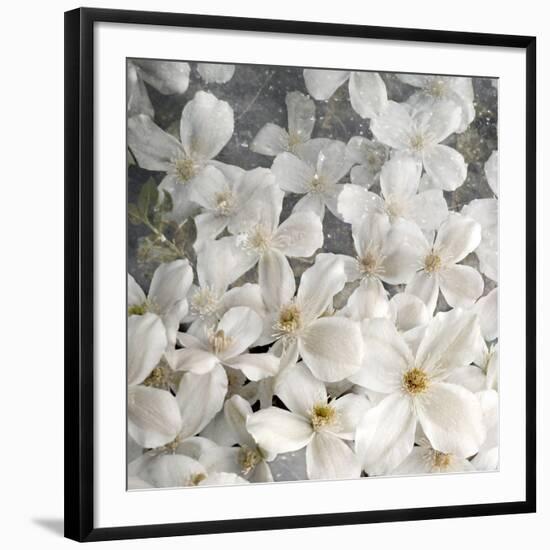 A Floral Montage from Clematis and Texture-Alaya Gadeh-Framed Photographic Print