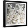 A Floral Montage from Clematis and Texture-Alaya Gadeh-Framed Photographic Print