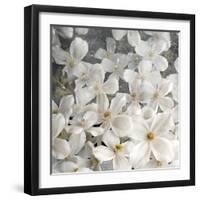 A Floral Montage from Clematis and Texture-Alaya Gadeh-Framed Photographic Print