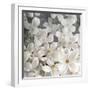 A Floral Montage from Clematis and Texture-Alaya Gadeh-Framed Photographic Print