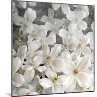 A Floral Montage from Clematis and Texture-Alaya Gadeh-Mounted Photographic Print