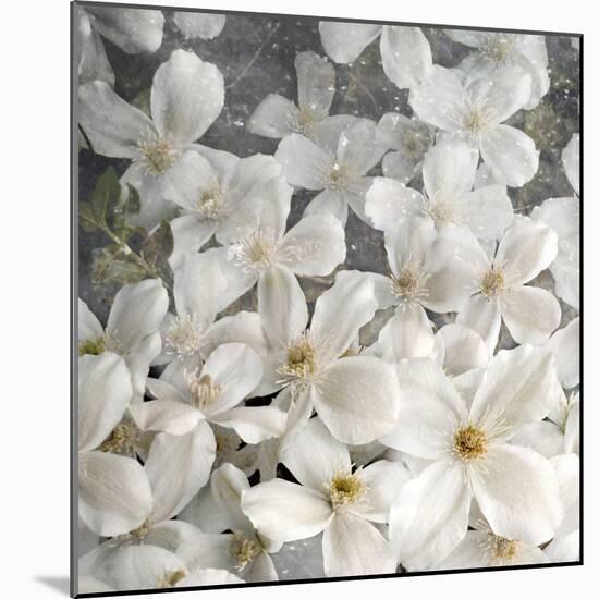 A Floral Montage from Clematis and Texture-Alaya Gadeh-Mounted Photographic Print