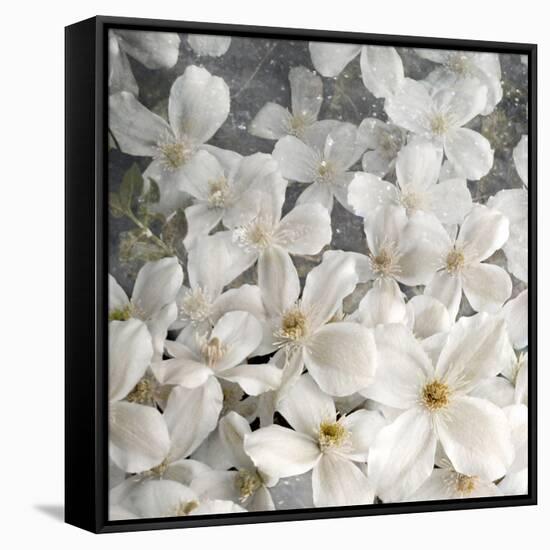 A Floral Montage from Clematis and Texture-Alaya Gadeh-Framed Stretched Canvas