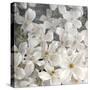 A Floral Montage from Clematis and Texture-Alaya Gadeh-Stretched Canvas