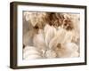 A Floral Montage from Dahlias in Monotone Colors-Alaya Gadeh-Framed Photographic Print