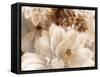 A Floral Montage from Dahlias in Monotone Colors-Alaya Gadeh-Framed Stretched Canvas