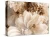 A Floral Montage from Dahlias in Monotone Colors-Alaya Gadeh-Stretched Canvas