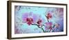 A Floral Montage from Orchid and Spring Trees-Alaya Gadeh-Framed Photographic Print