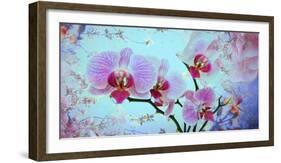 A Floral Montage from Orchid and Spring Trees-Alaya Gadeh-Framed Photographic Print