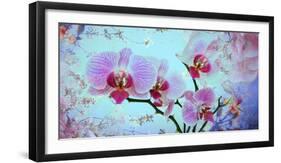 A Floral Montage from Orchid and Spring Trees-Alaya Gadeh-Framed Photographic Print