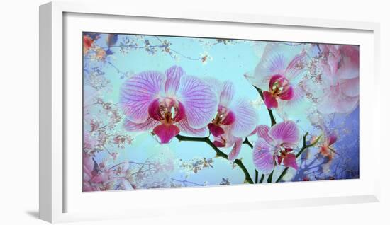 A Floral Montage from Orchid and Spring Trees-Alaya Gadeh-Framed Photographic Print