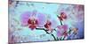A Floral Montage from Orchid and Spring Trees-Alaya Gadeh-Mounted Photographic Print