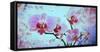 A Floral Montage from Orchid and Spring Trees-Alaya Gadeh-Framed Stretched Canvas